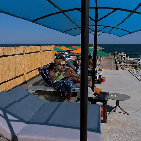 мини совиньон オデッサ